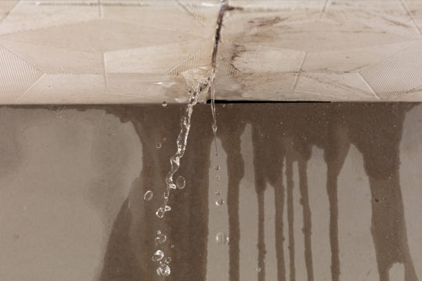 Professional Flood Damage Cleanup technician working in Colmar, PA